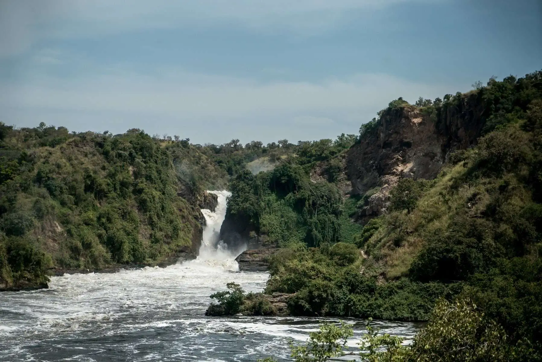 Экспедиция в Уганду и Руанду. фото 31