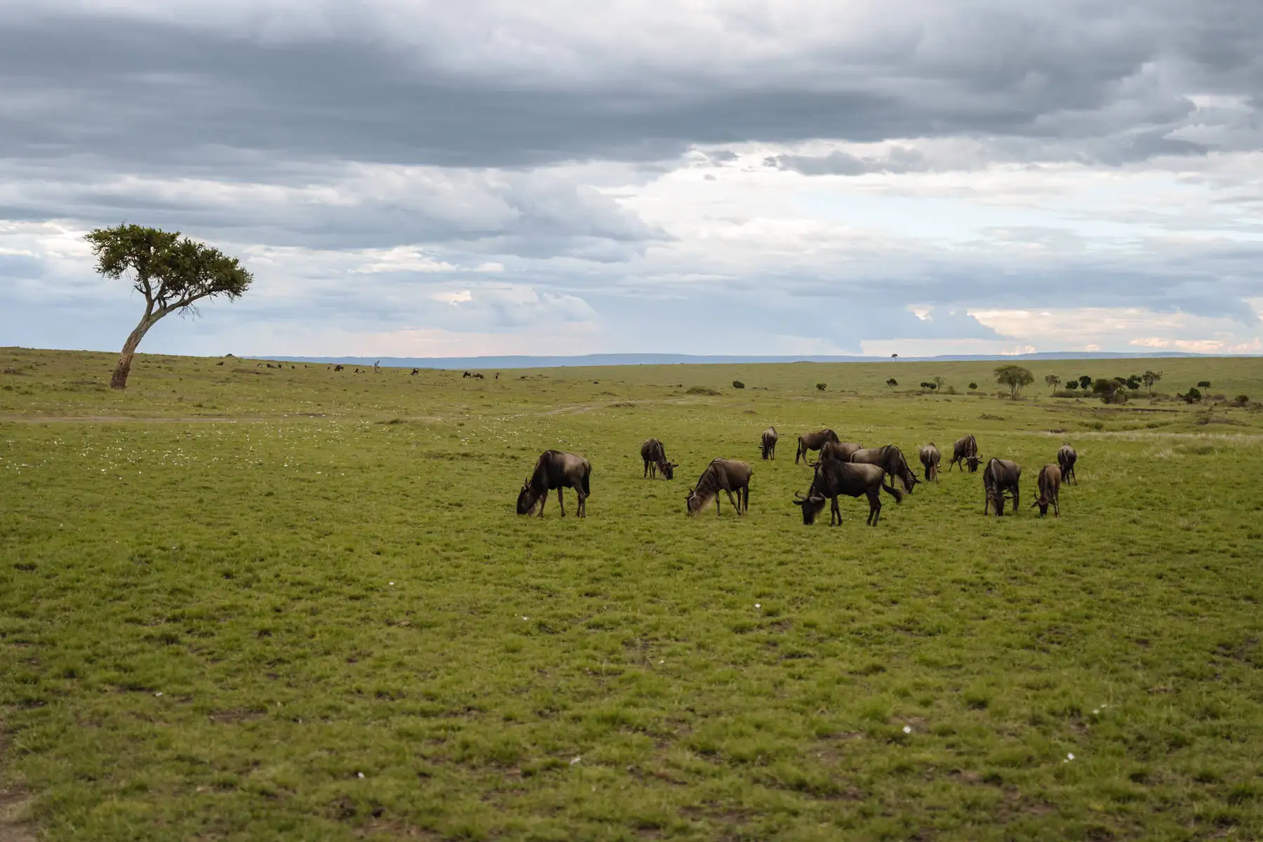 Путешествие в Кению 2.0. фото 58