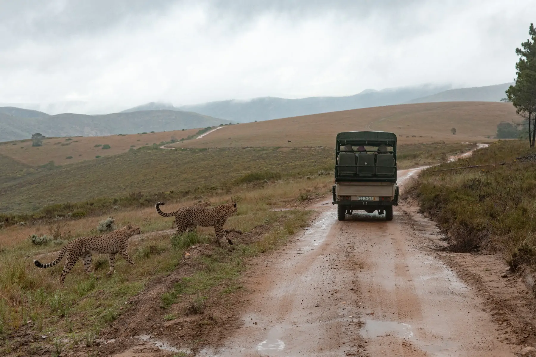 Путешествие в ЮАР. фото 213