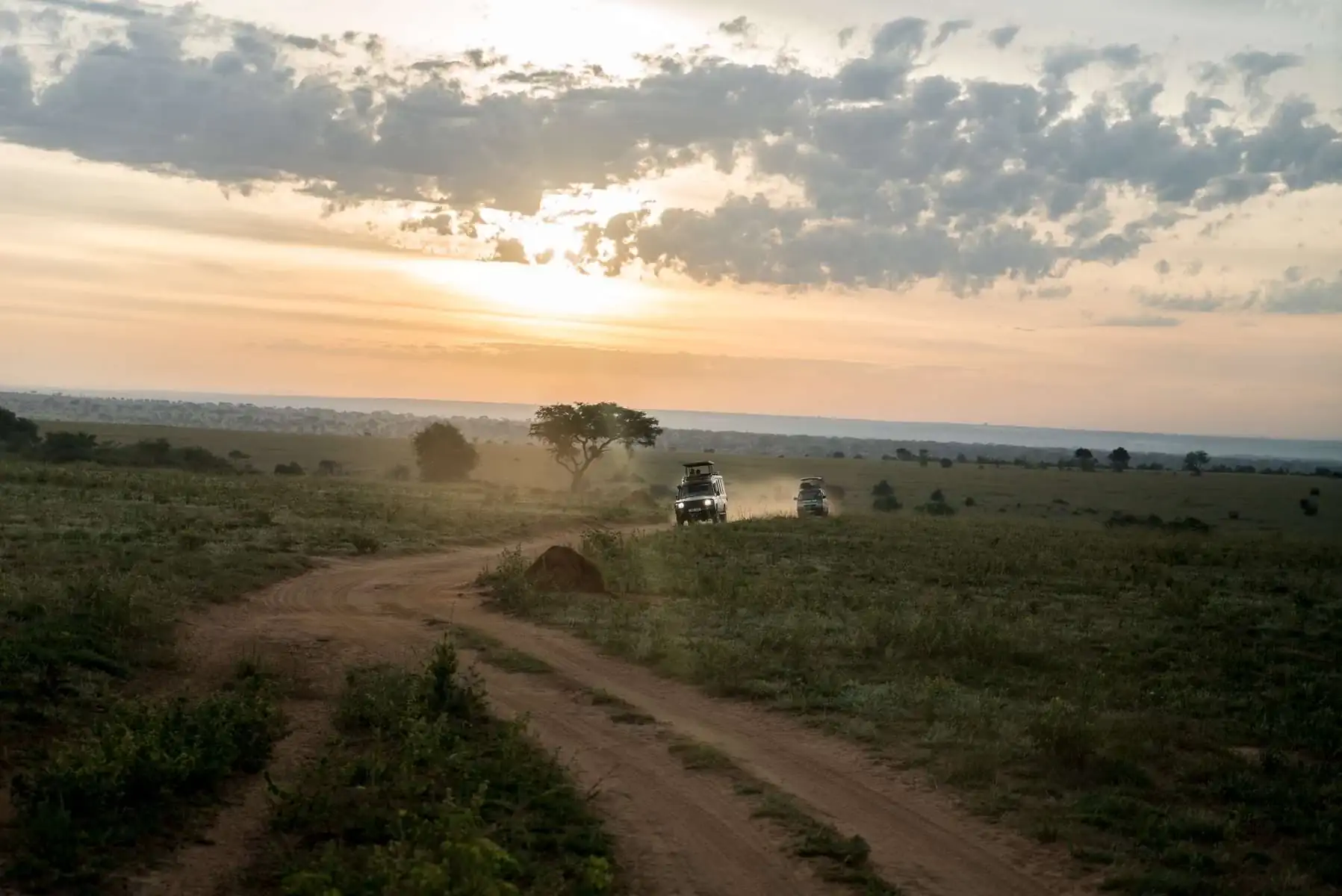 Экспедиция в Уганду и Руанду. фото 28