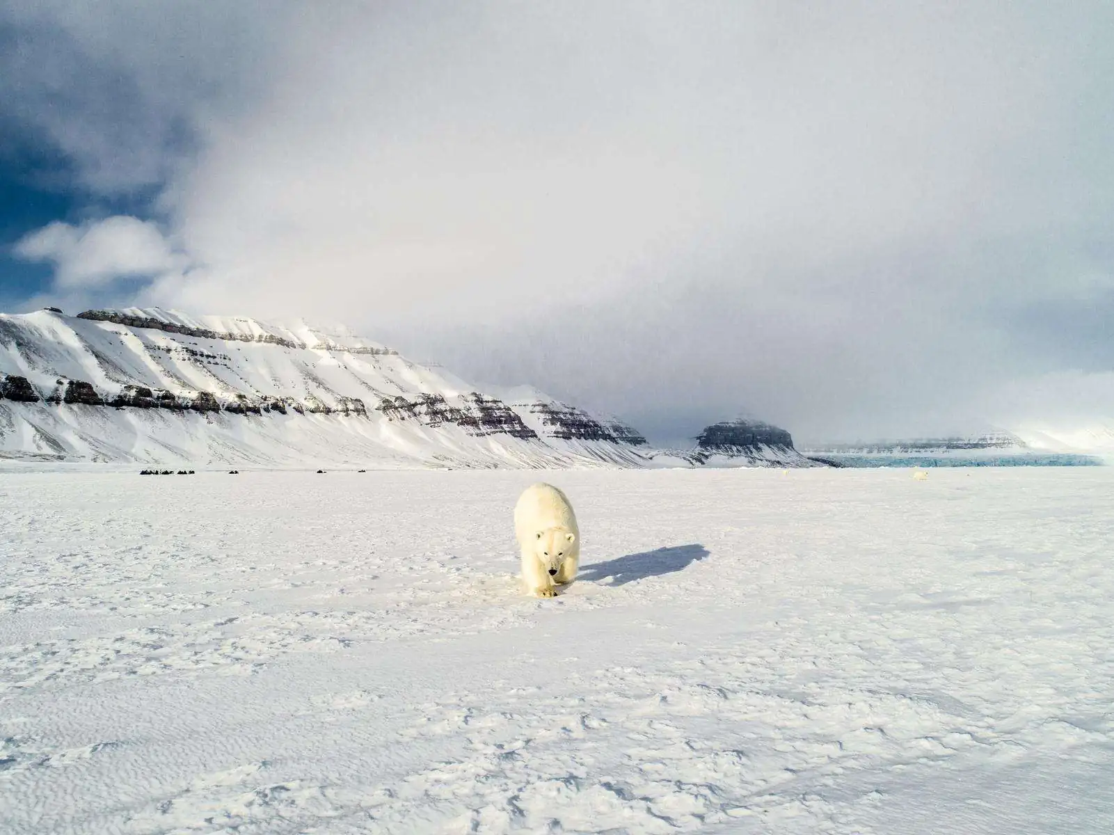 Экспедиция в Арктику. фото 29
