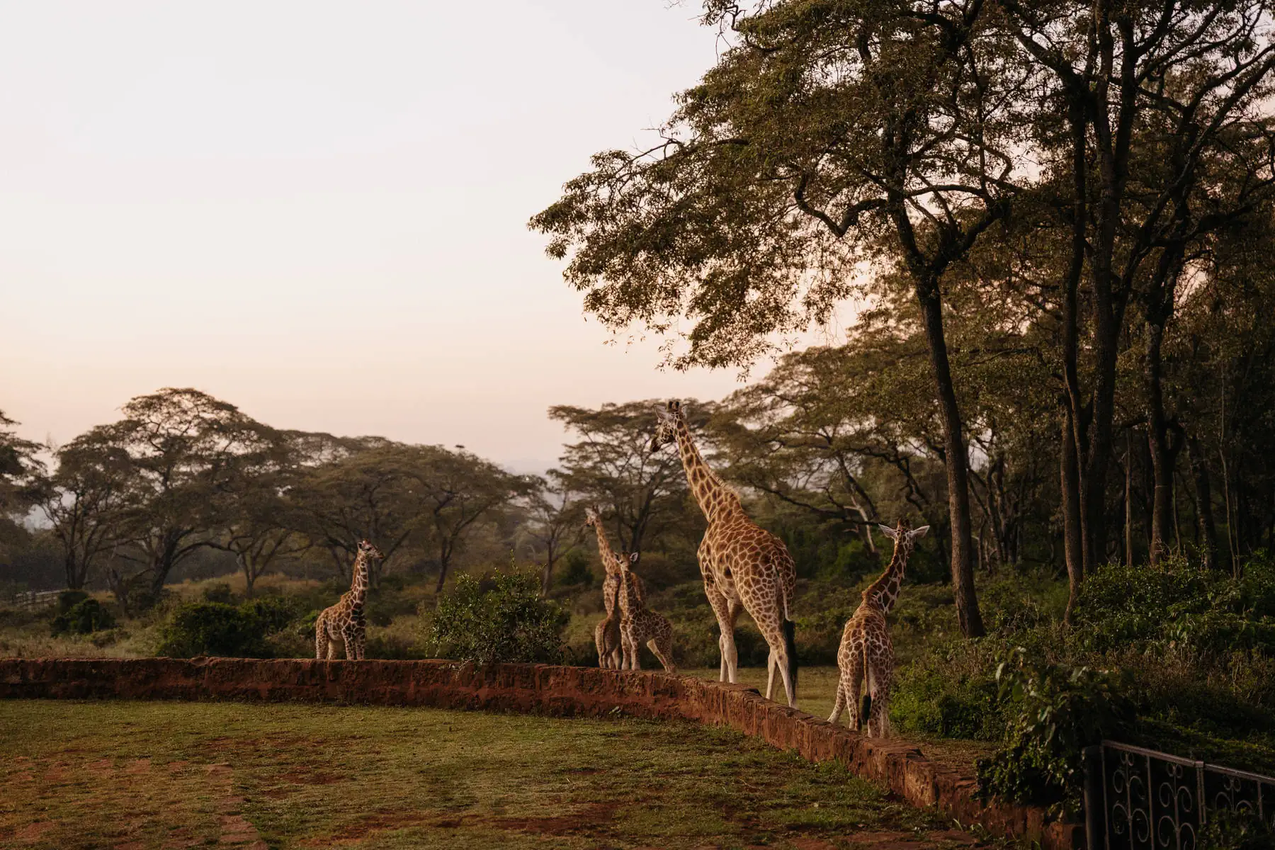Путешествие в Кению. фото 23