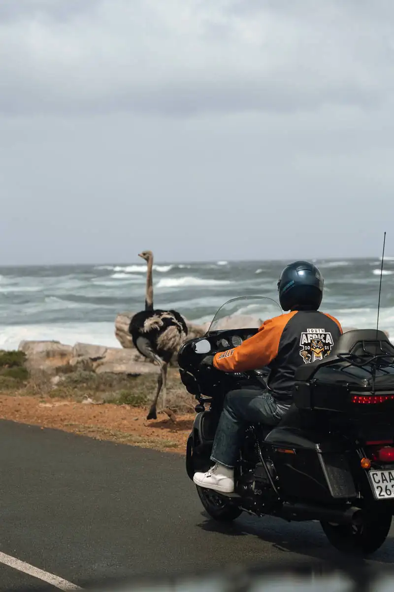 Roadtrip по Южной Африке. фото 54