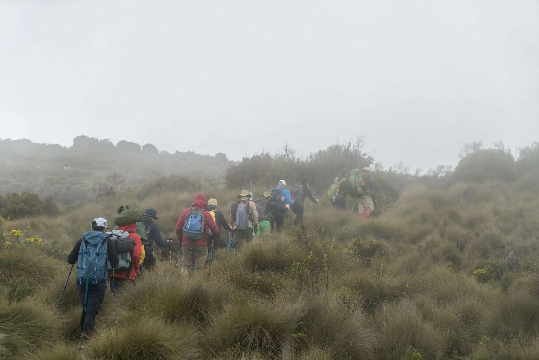 Восхождение на Килиманджаро. фото 26