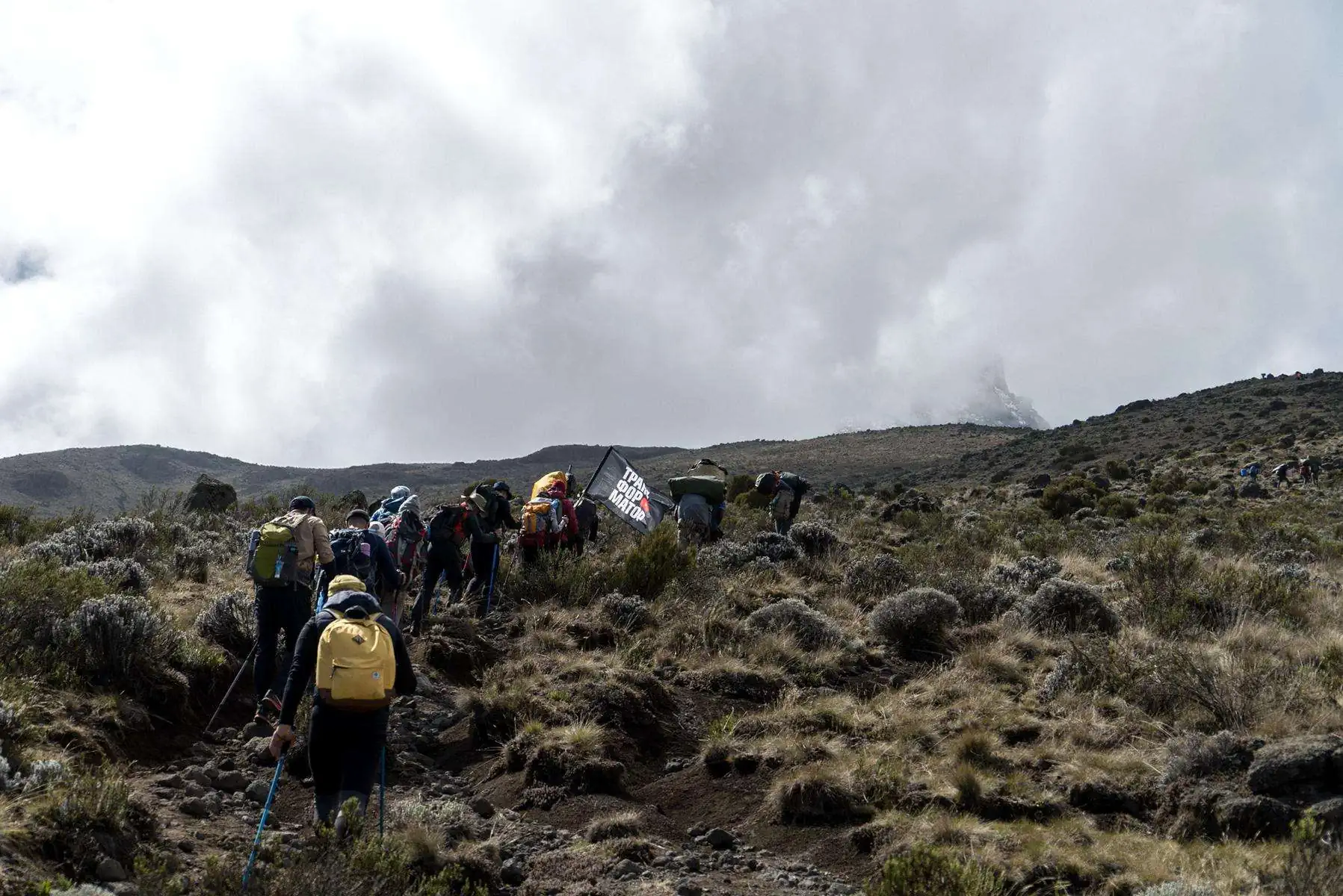 Восхождение на Килиманджаро. фото 34