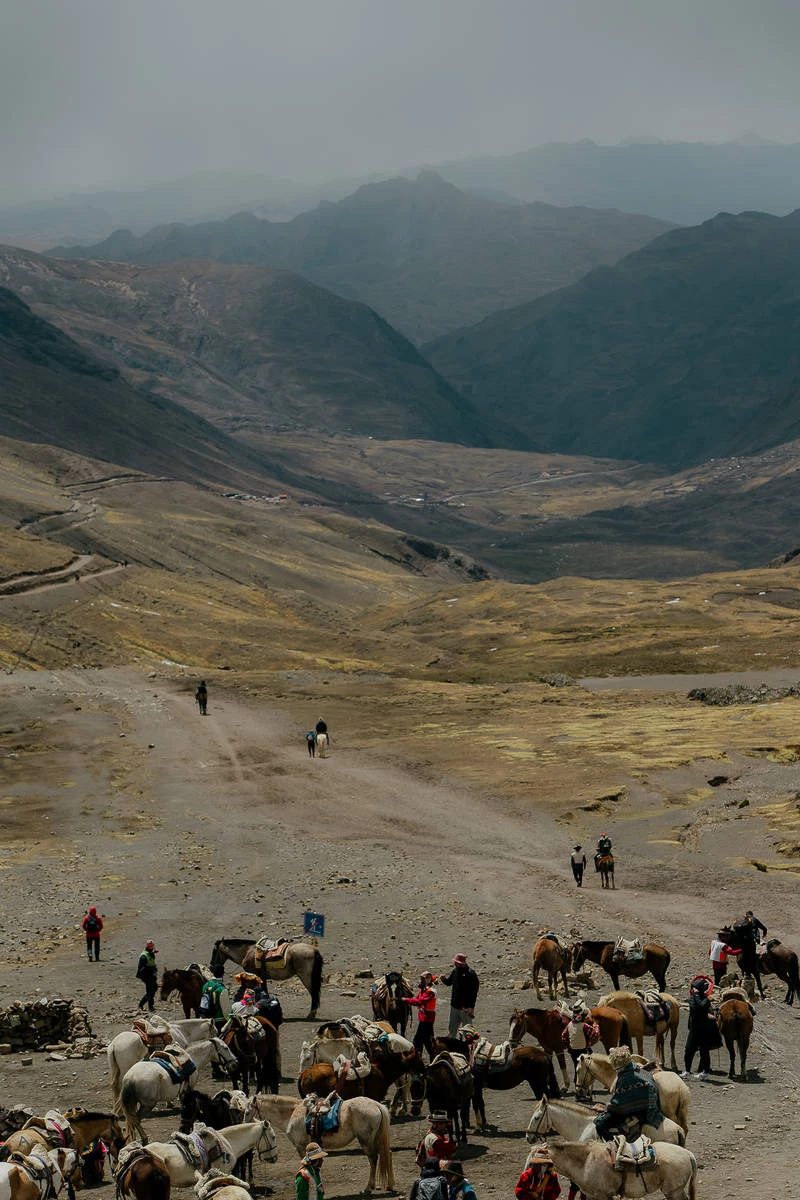 Путешествие в Перу 4.0. фото 102