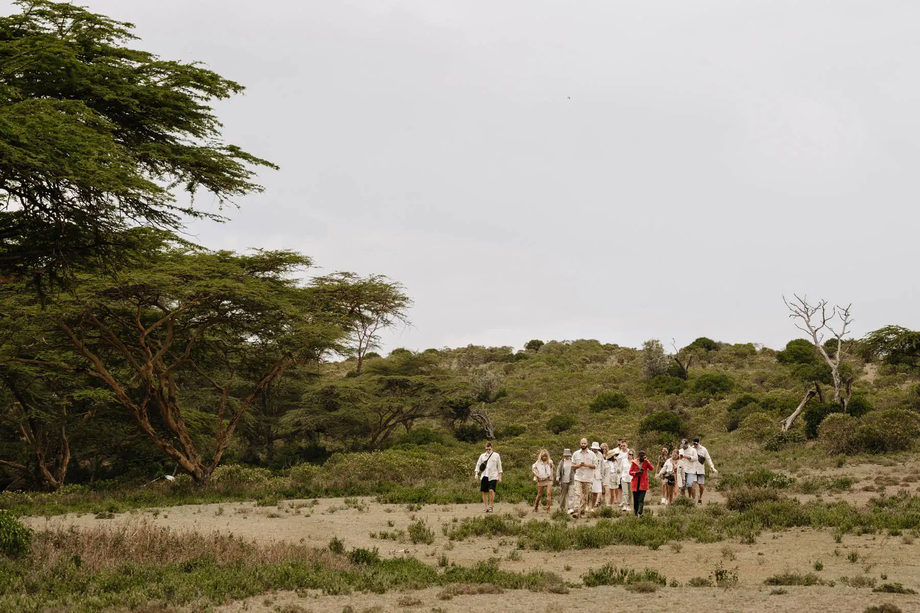 Путешествие в Кению. фото 60
