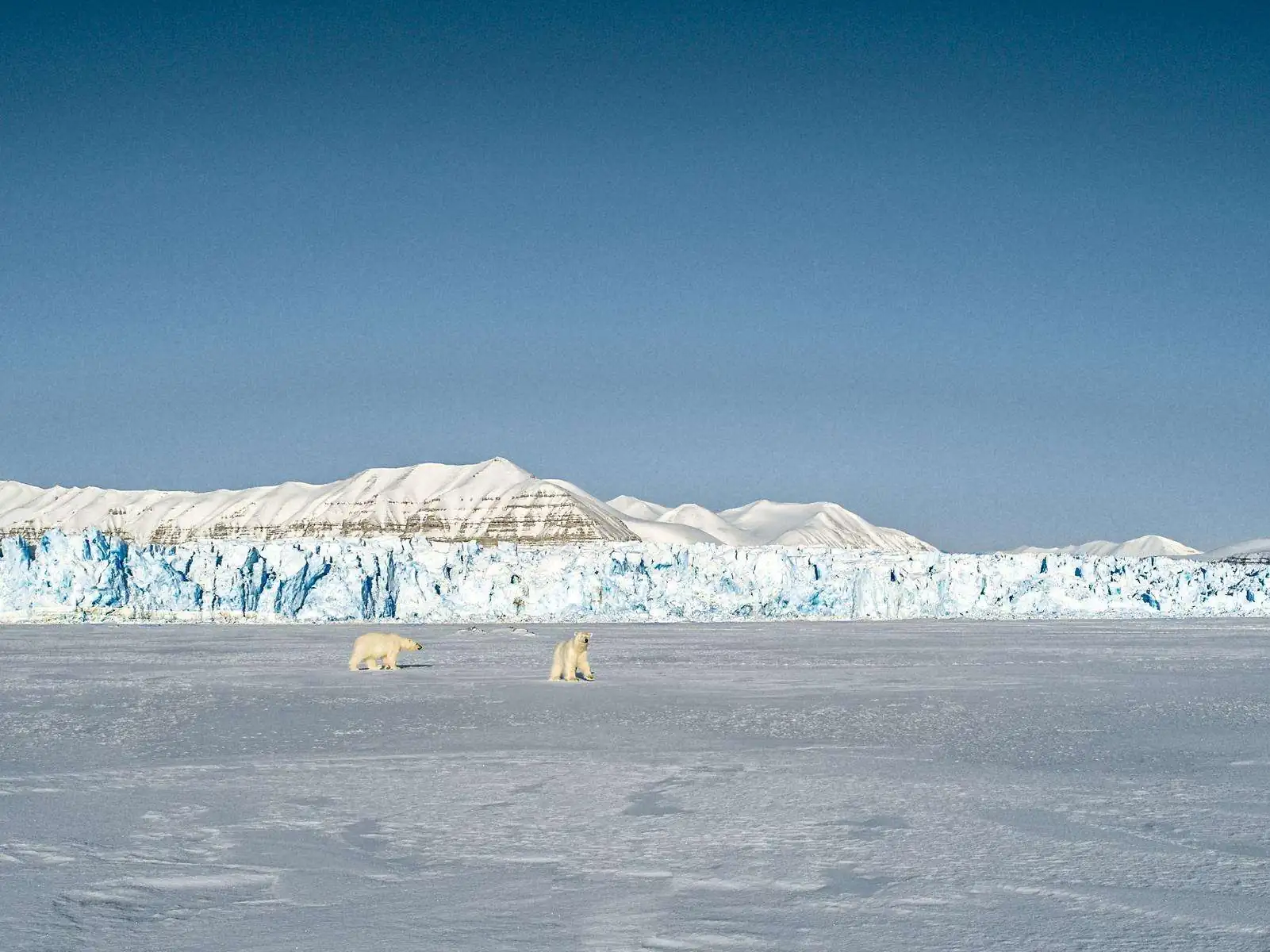 Экспедиция в Арктику. фото 20
