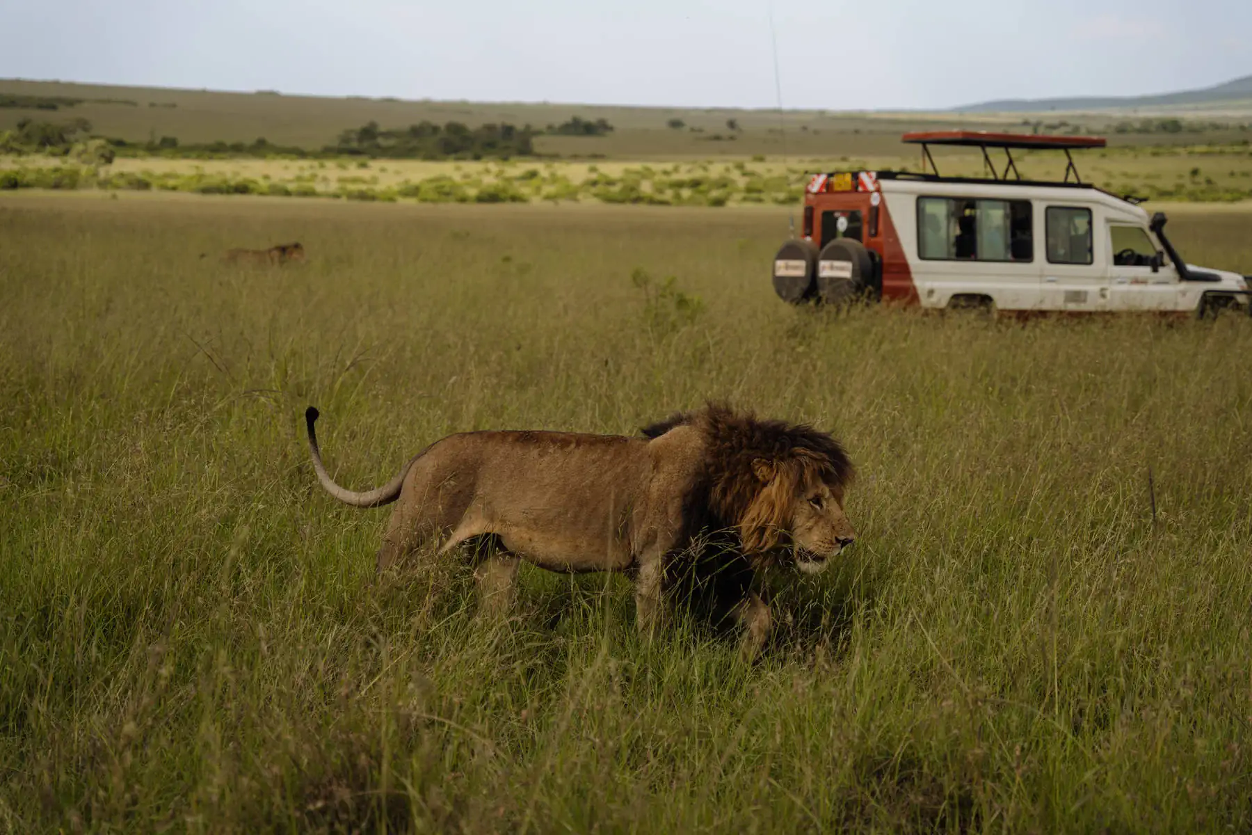 Путешествие в Кению 3.0. фото 42