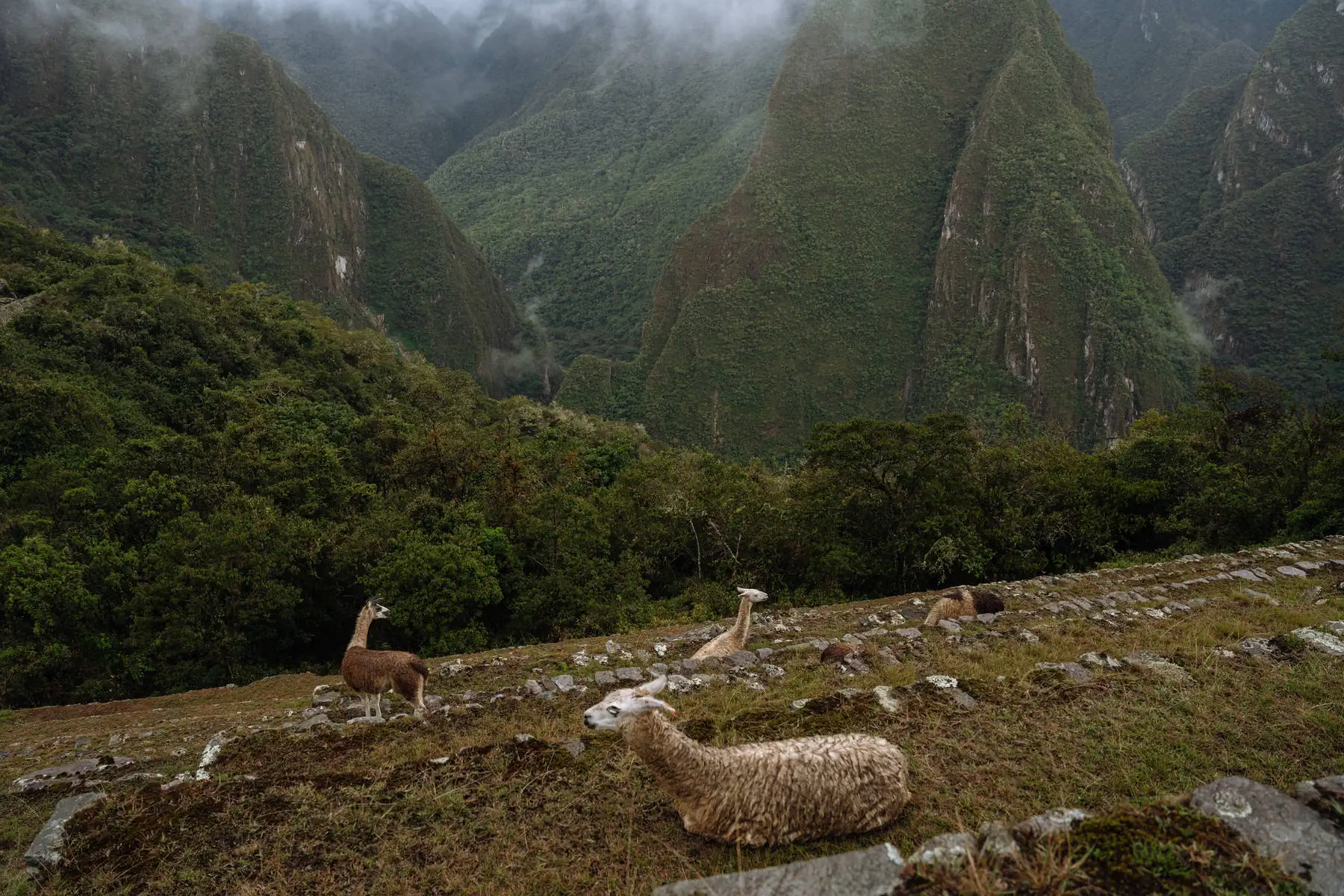 Путешествие в Перу. фото 44