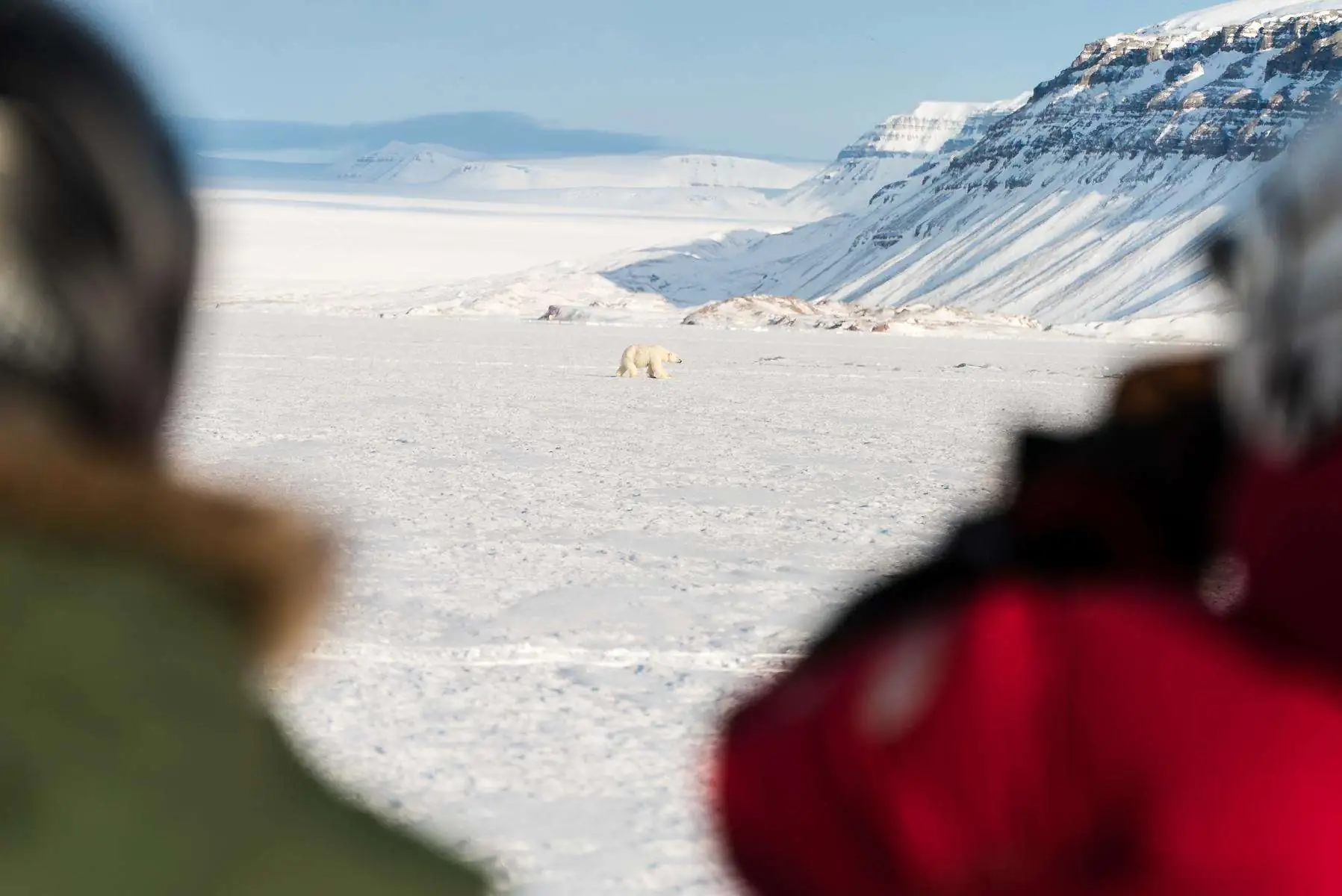 Экспедиция в Арктику. фото 26