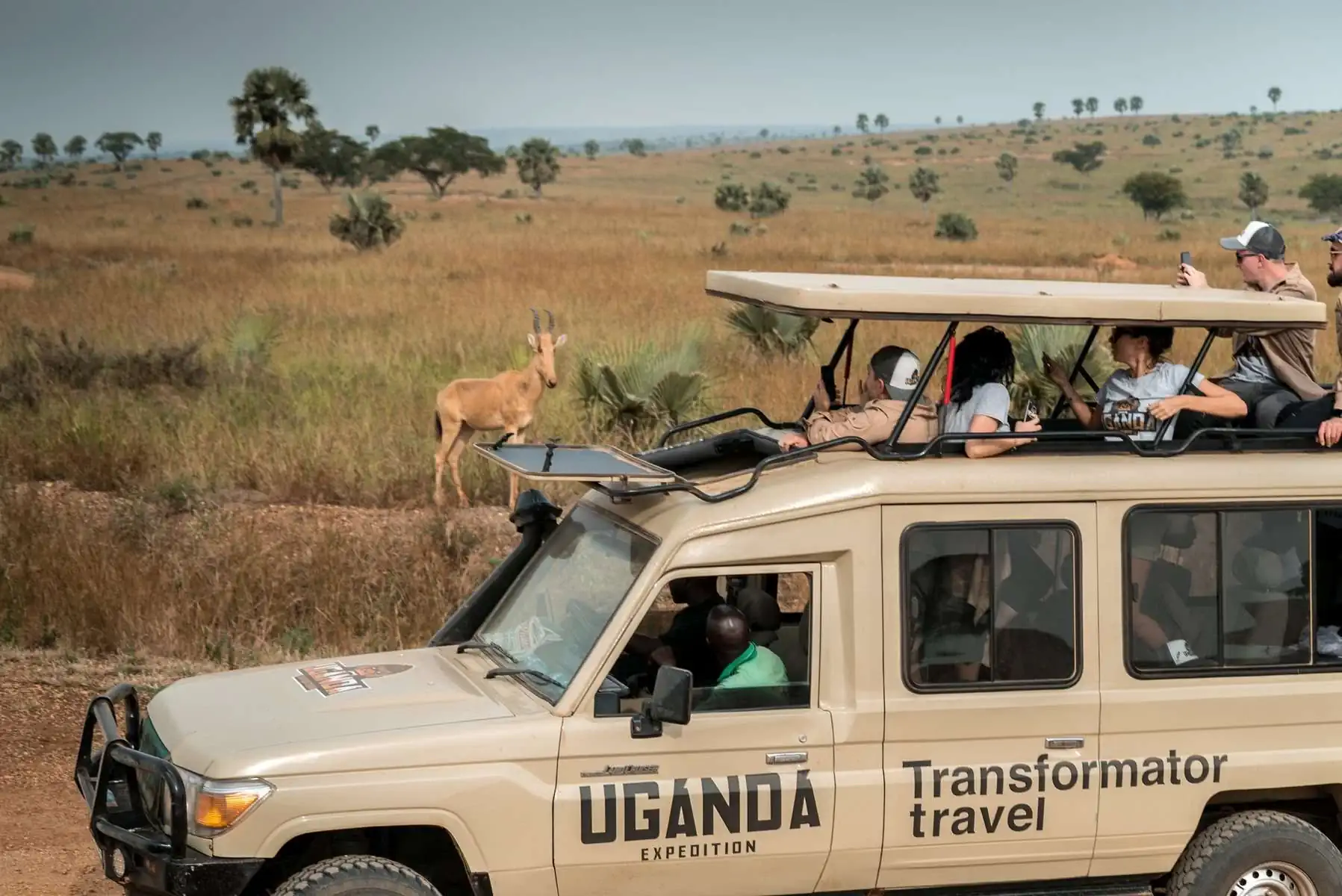 Экспедиция в Уганду и Руанду. фото 17