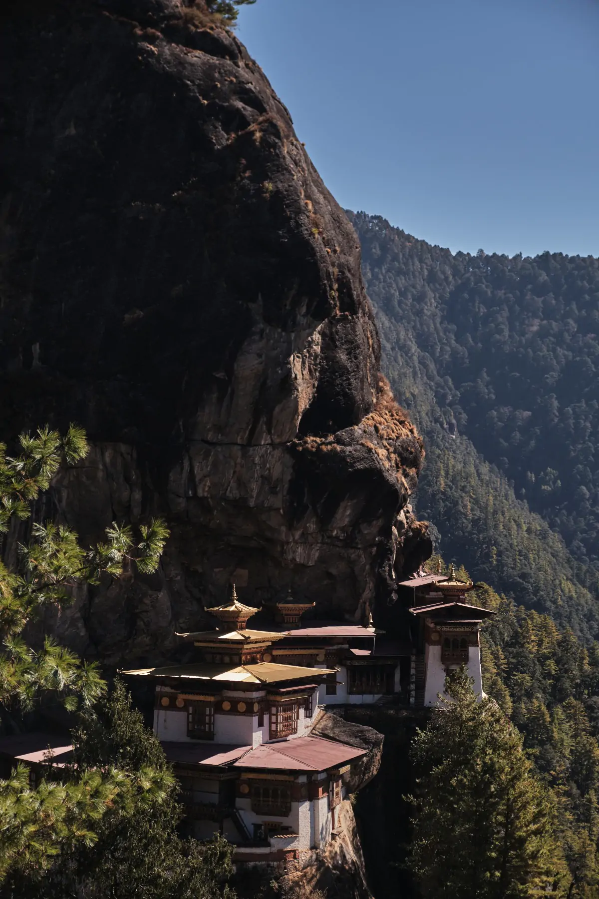 Бутан и Непал. фото 115