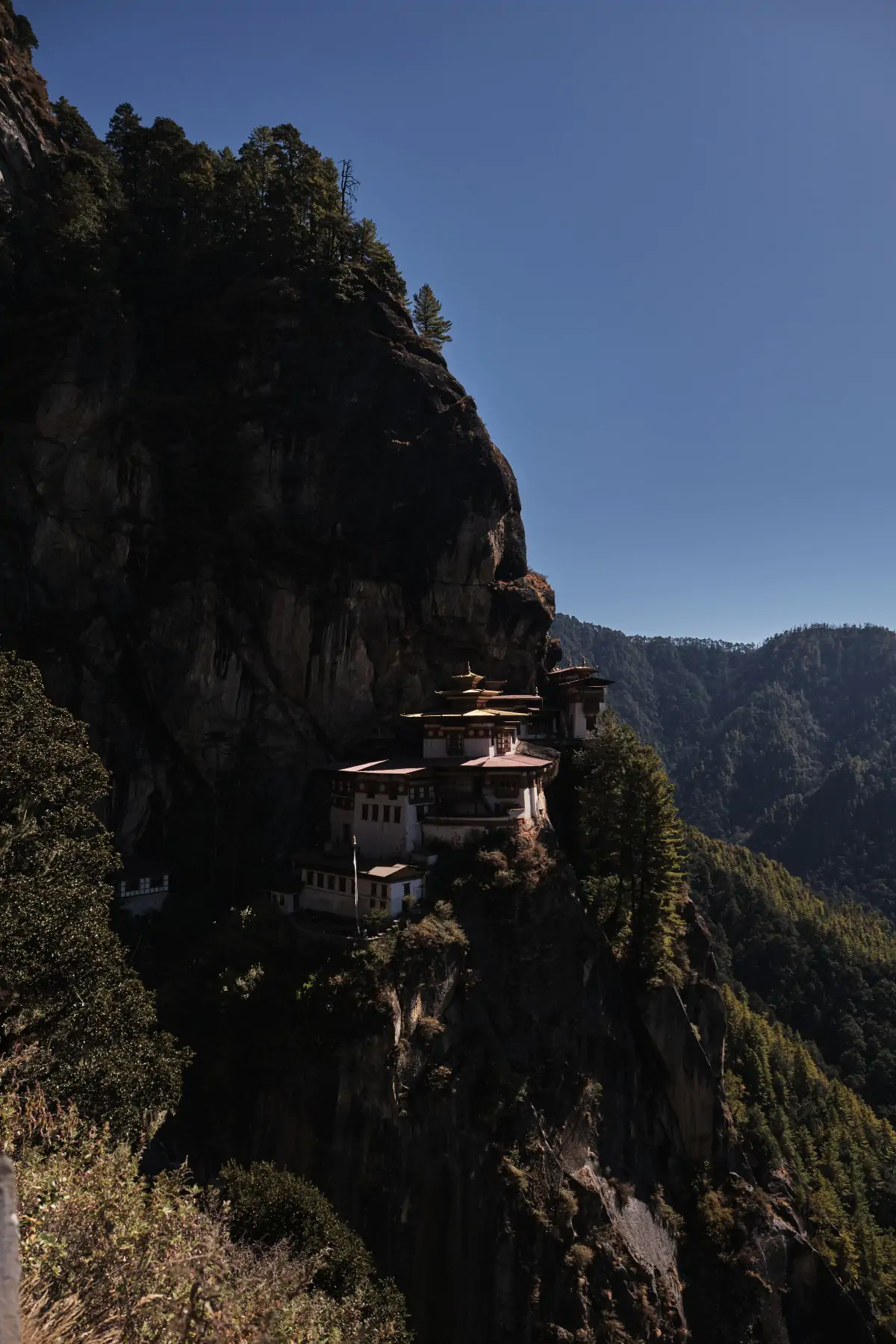 Бутан и Непал. фото 114