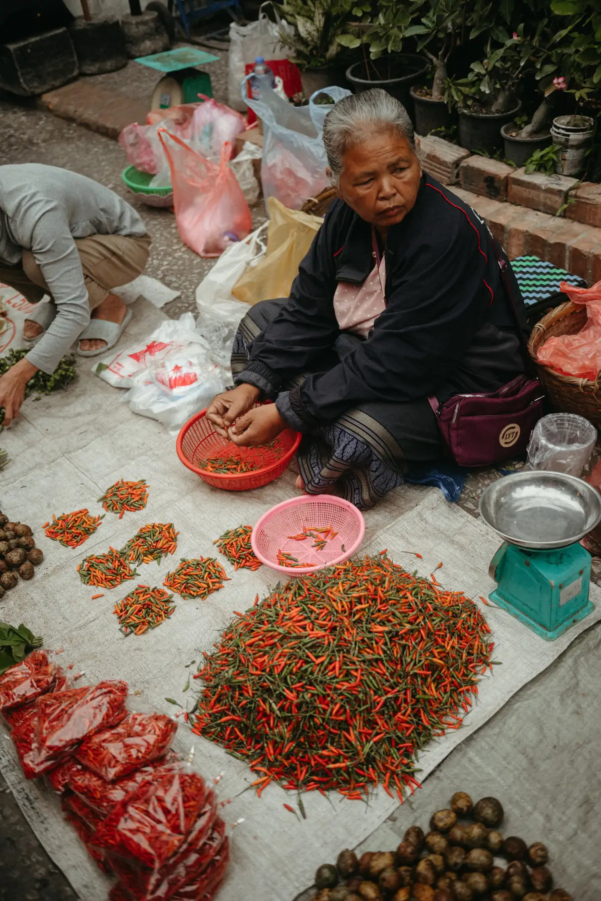 Путешествие в Лаос и Камбоджу  . фото 106