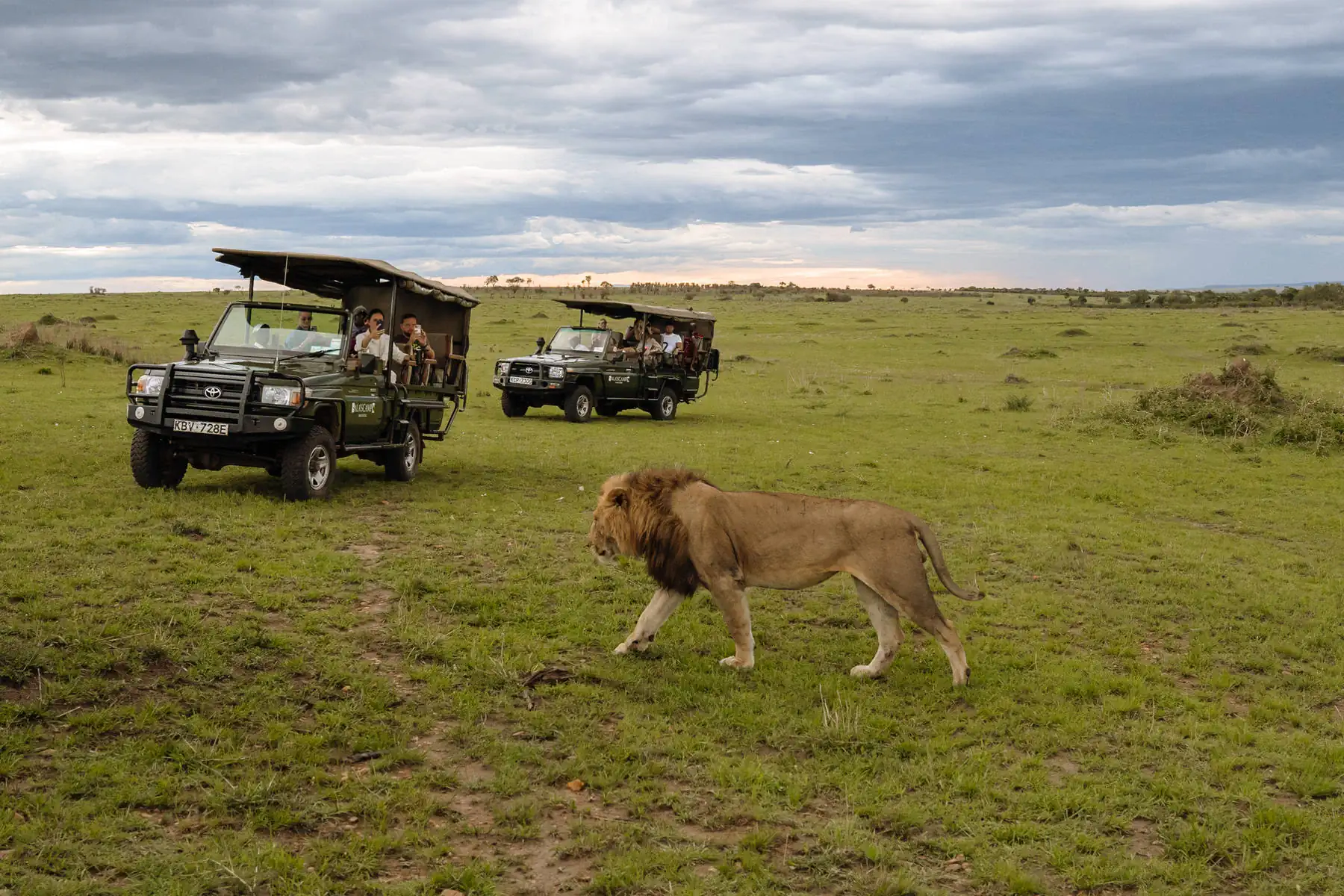 Путешествие в Кению 2.0. фото 63