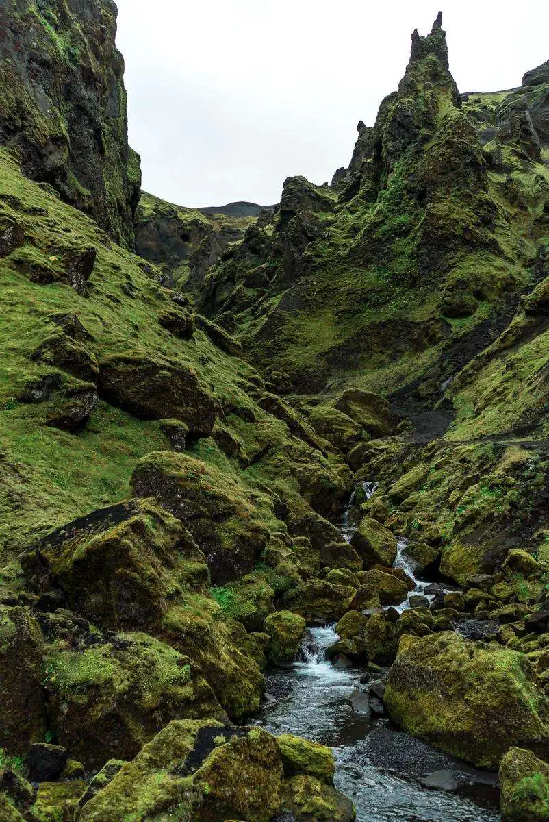 Экспедиция в Исландию. фото 36