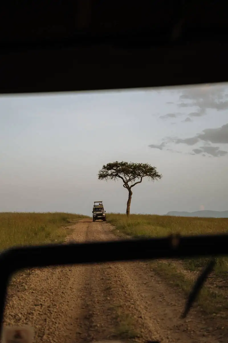 Путешествие в Кению 3.0. фото 30