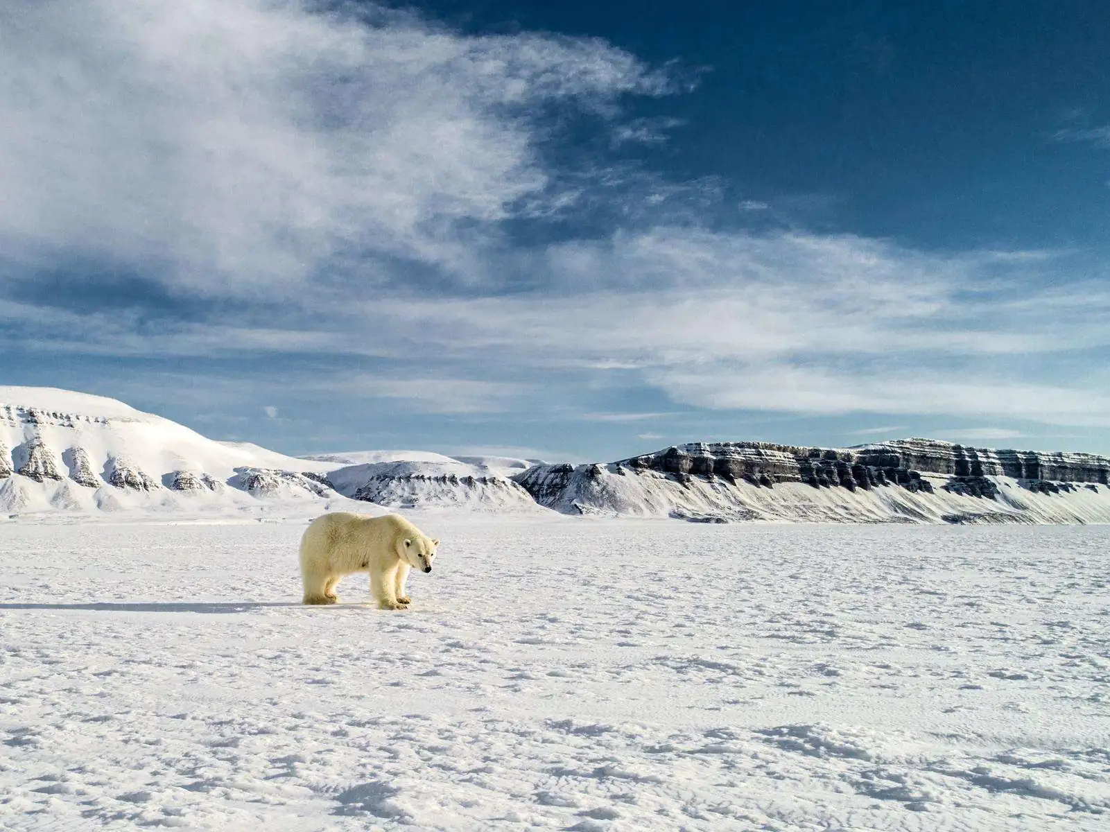 Экспедиция в Арктику. фото 30
