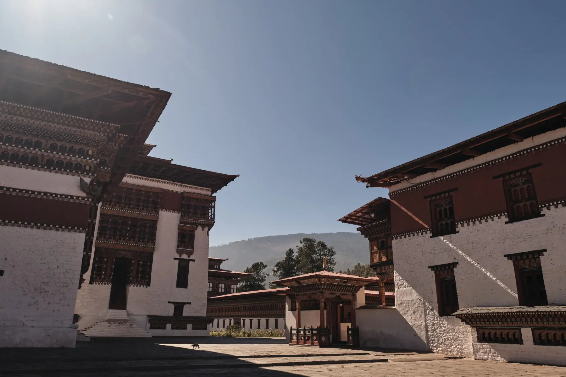 Бутан и Непал. фото 83